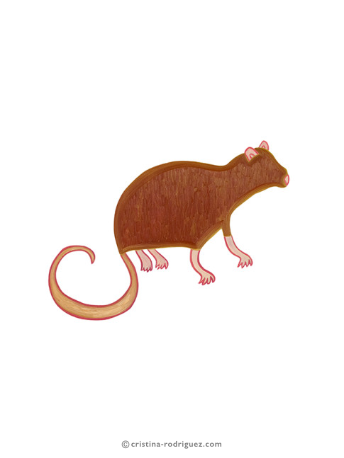 The Rat 