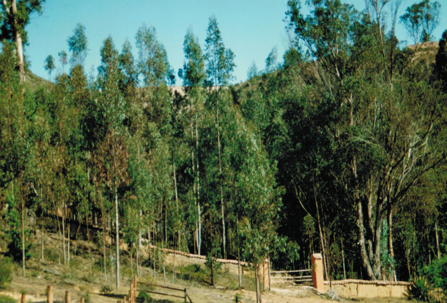 Hacienda Santana Cristina Rodriguez Studio at Boyac&aacute;, Colombia in 1987-1989