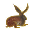 Cristina Rodriguez's Painting - The Hare - 2008