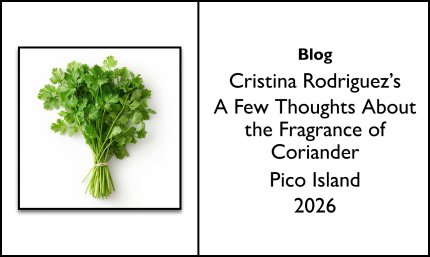 Cristina Rodriguez's A Few Thoughts About the Fragrance of Coriander Pico Island 2026